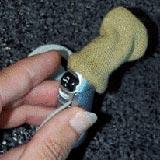 How to Apply the Hearing Aid Sweat Band to Cochlear hearing aids - 5